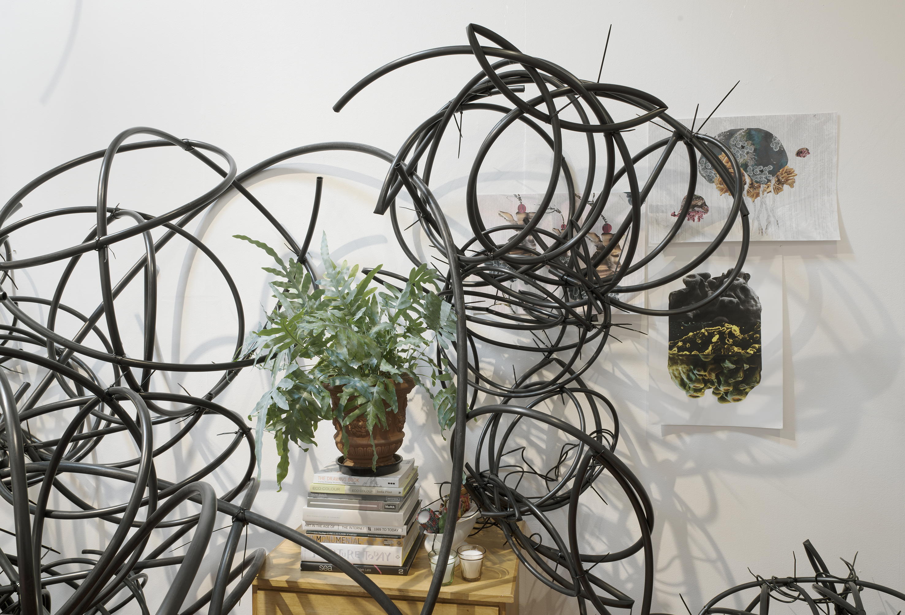 an installation of black plastic tubing and everyday objects